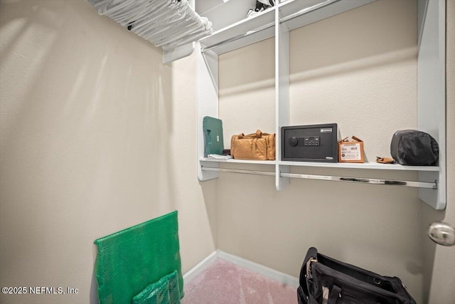 spacious closet with carpet flooring