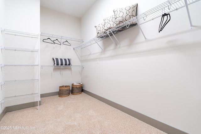 367 Maralinda Dr, Saint Augustine, FL 32095 - spacious closet with carpet