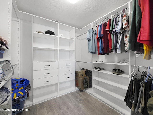 597 Meadow Ridge Dr, Saint Augustine, FL 32092 - spacious closet featuring wood finished floors