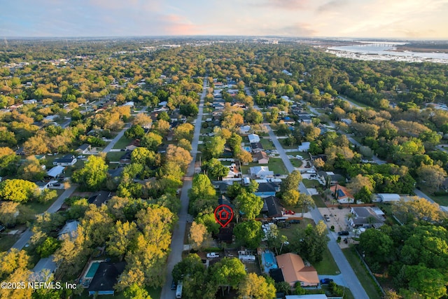 bird's eye view