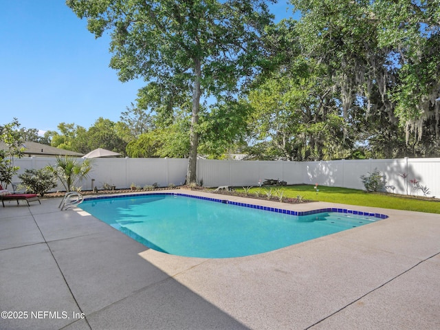 view of pool featuring a patio area, a fenced in pool, and a fenced backyard