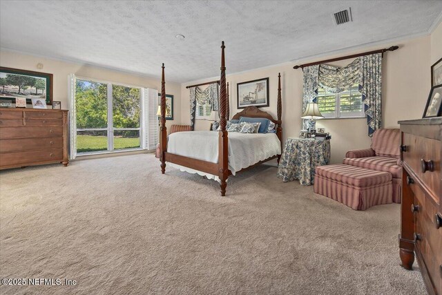 7812 Hunters Grove Rd, Jacksonville, FL 32256 - carpeted bedroom featuring visible vents, a textured ceiling, and ornamental molding