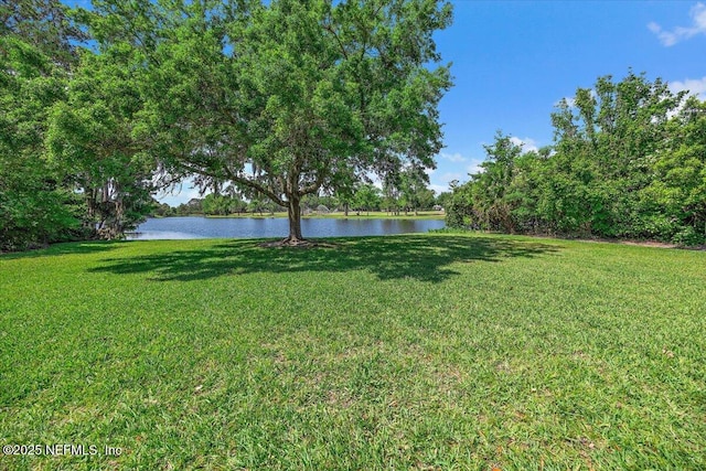 7812 Hunters Grove Rd, Jacksonville, FL 32256 - view of yard with a water view