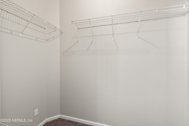 80 St Croix Island Dr, Saint Augustine, FL 32092 - walk in closet with carpet