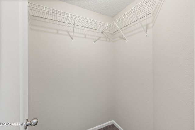 80 St Croix Island Dr, Saint Augustine, FL 32092 - view of walk in closet