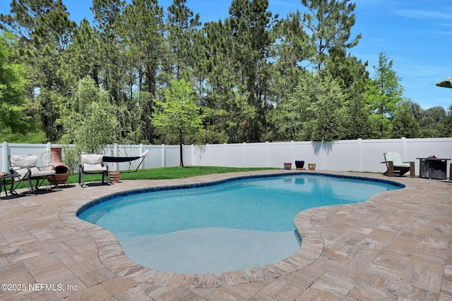 359 Fever Hammock Dr, Fruit Cove, FL 32259 - photo 52