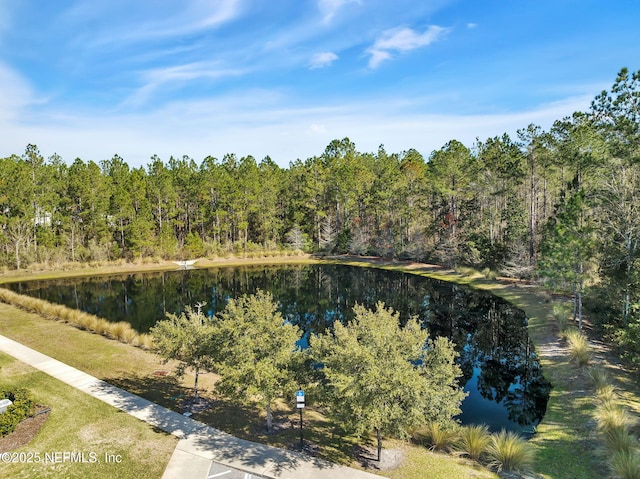 359 Fever Hammock Dr, Fruit Cove, FL 32259 - photo 74