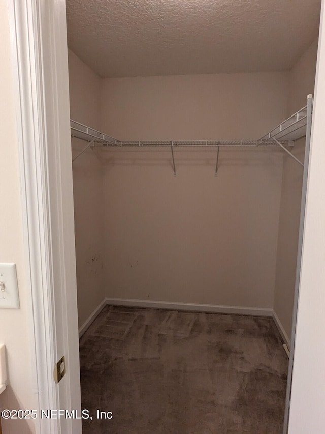124 Hondo Dr, Saint Augustine, FL 32086 - walk in closet with carpet