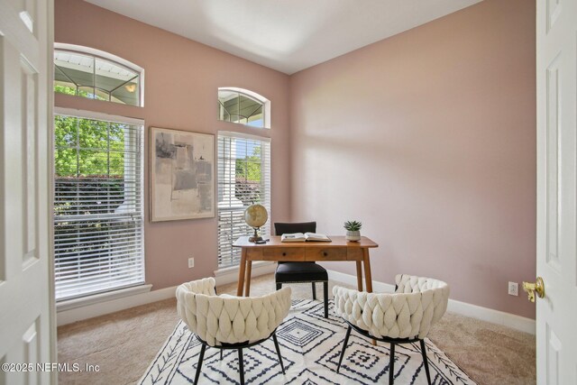 8152 Sierra Oaks Blvd, Jacksonville, FL 32219 - photo 22