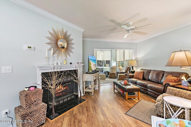 living area with crown molding, a ceiling fan, wood finished floors, and a high end fireplace