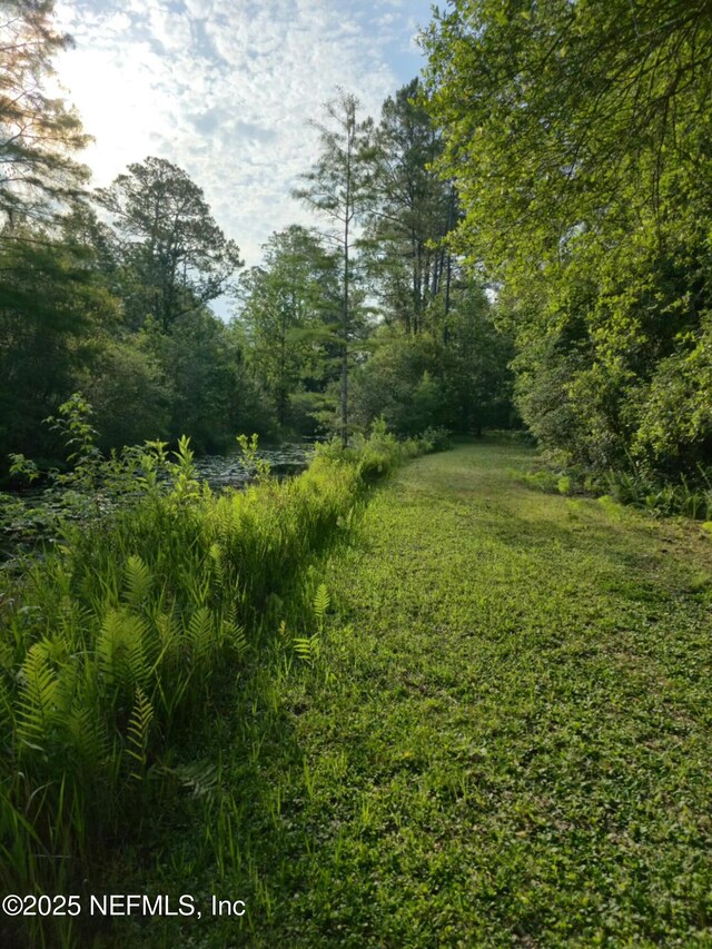 21426 NE 51st Ave, Earlton, FL 32631 - photo 3