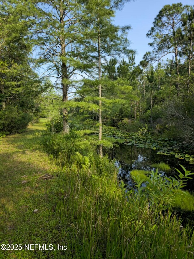 21426 NE 51st Ave, Earlton, FL 32631 - photo 4