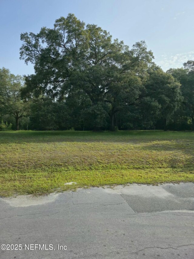 21426 NE 51st Ave, Earlton, FL 32631 - photo 5