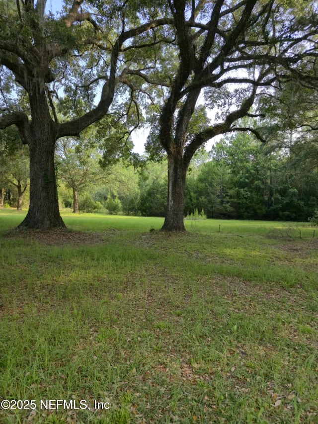 21426 NE 51st Ave, Earlton, FL 32631 - photo 6