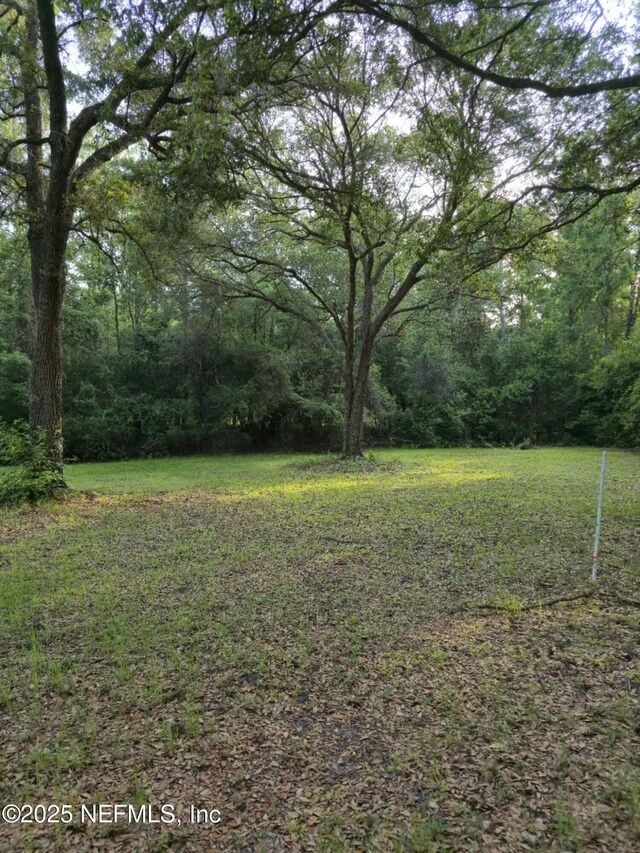 21426 NE 51st Ave, Earlton, FL 32631 - photo 7