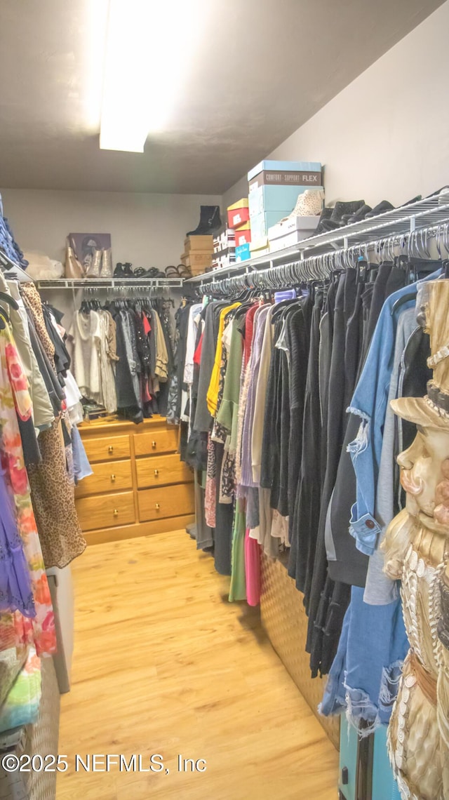 4565 SE 3rd Pl, Keystone Heights, FL 32656 - spacious closet featuring light wood finished floors