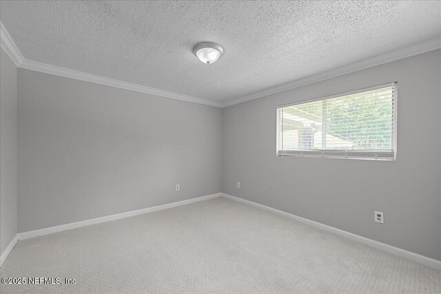 4533 Lamont St, Jacksonville, FL 32207 - photo 9
