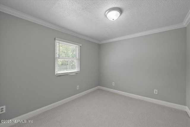 4533 Lamont St, Jacksonville, FL 32207 - photo 12