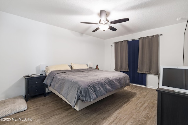 2916 Duck Hollow Ln, Green Cove Springs, FL 32043 - bedroom with wood finished floors and ceiling fan