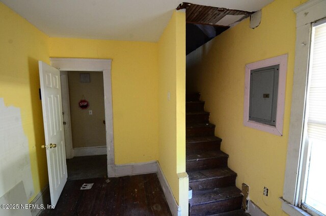 2138 Park St, Jacksonville, FL 32204 - stairway with baseboards, wood finished floors, and electric panel