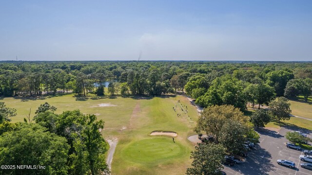 3422 Oglebay Dr, Green Cove Springs, FL 32043 - bird's eye view with golf course view and a wooded view