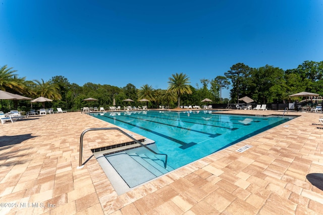 3422 Oglebay Dr, Green Cove Springs, FL 32043 - pool with fence and a patio