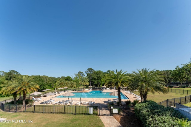3422 Oglebay Dr, Green Cove Springs, FL 32043 - pool featuring a yard, a patio, and fence