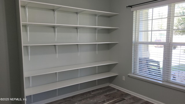 3422 Oglebay Dr, Green Cove Springs, FL 32043 - view of pantry