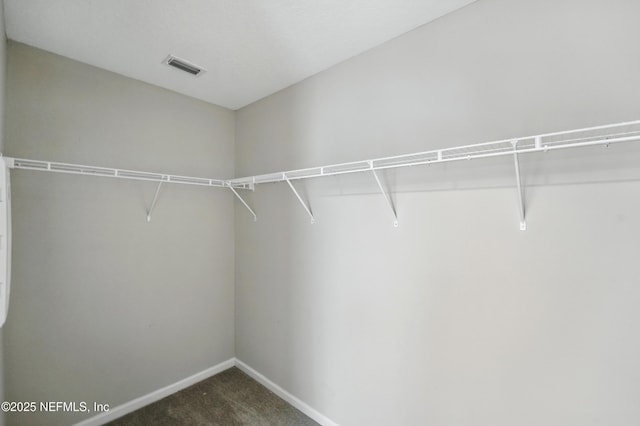 11624 Palladio Way, Jacksonville, FL 32218 - photo 18