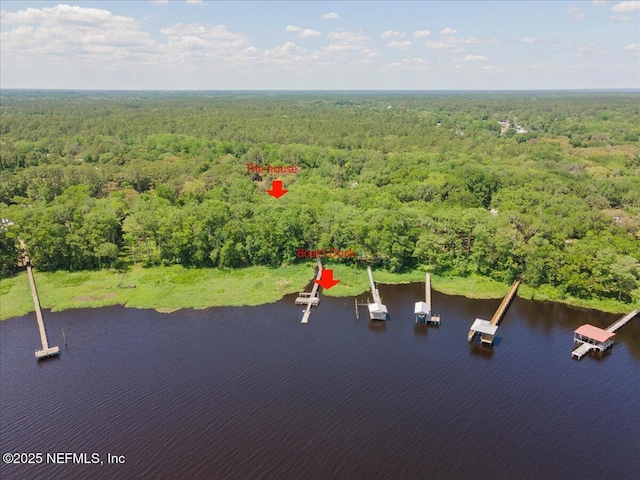 101 Magnolia Ave, Palatka, FL 32177 - birds eye view of property featuring a wooded view and a water view