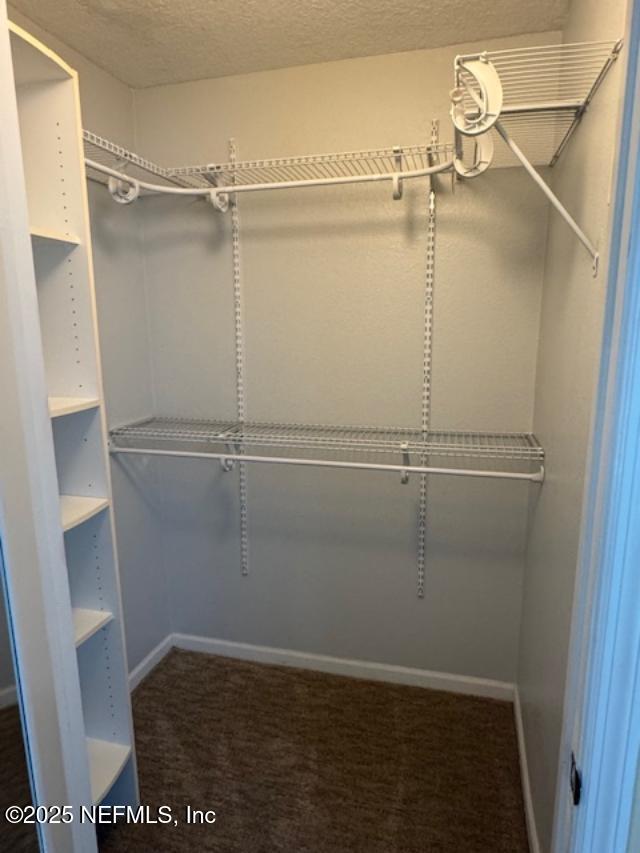 7701 Timberlin Park Blvd Unit 531, Jacksonville, FL 32256 - spacious closet featuring carpet