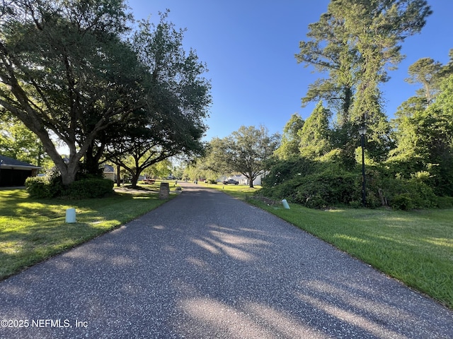 0 Landmark Cir N, Jacksonville, FL 32226 - photo 3