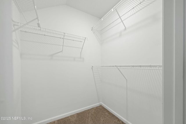3399 Shauna Oaks Cir, Jacksonville, FL 32277 - spacious closet with dark carpet