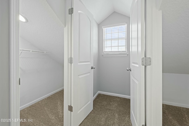 3399 Shauna Oaks Cir, Jacksonville, FL 32277 - spacious closet featuring vaulted ceiling and carpet
