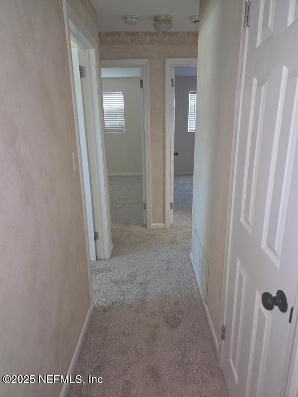 735 Foxbriar Cv, Jacksonville, FL 32221 - photo 13