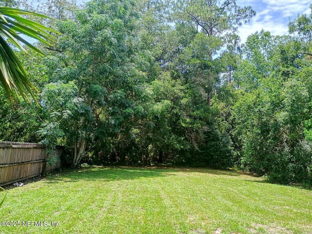 4010 Packard Dr, Jacksonville, FL 32246 - photo 17