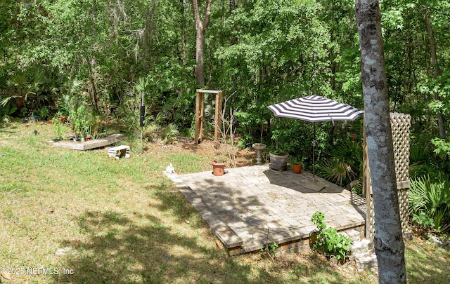 view of yard