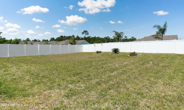 4058 Spring Creek Ln, Middleburg, FL 32068