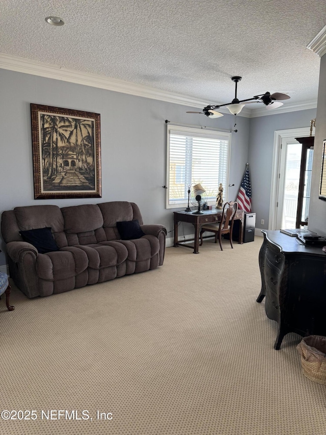 3741 Coastal Hwy, Saint Augustine, FL 32084 - photo 27