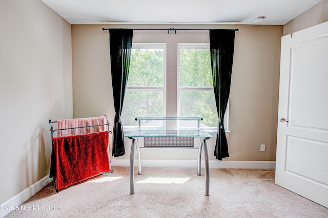 1911 Salt Creek Dr, Fleming Island, FL 32003 - office space with carpet and baseboards