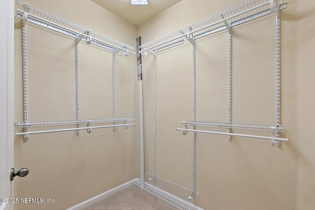 13644 Goodson Pl, Jacksonville, FL 32226 - view of walk in closet