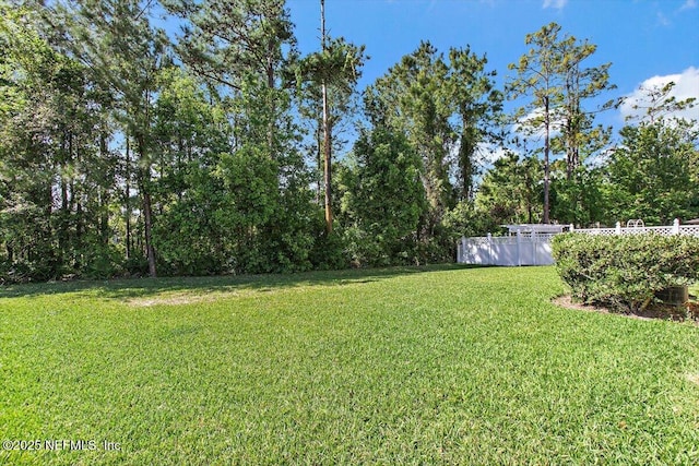 13644 Goodson Pl, Jacksonville, FL 32226 - view of yard featuring fence