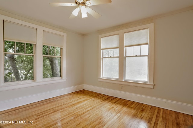 2731 Herschel St, Jacksonville, FL 32205 - photo 10
