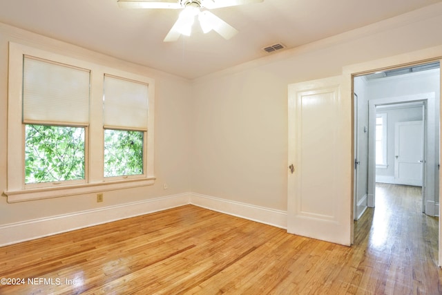 2731 Herschel St, Jacksonville, FL 32205 - photo 12
