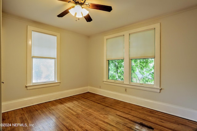 2731 Herschel St, Jacksonville, FL 32205 - photo 14