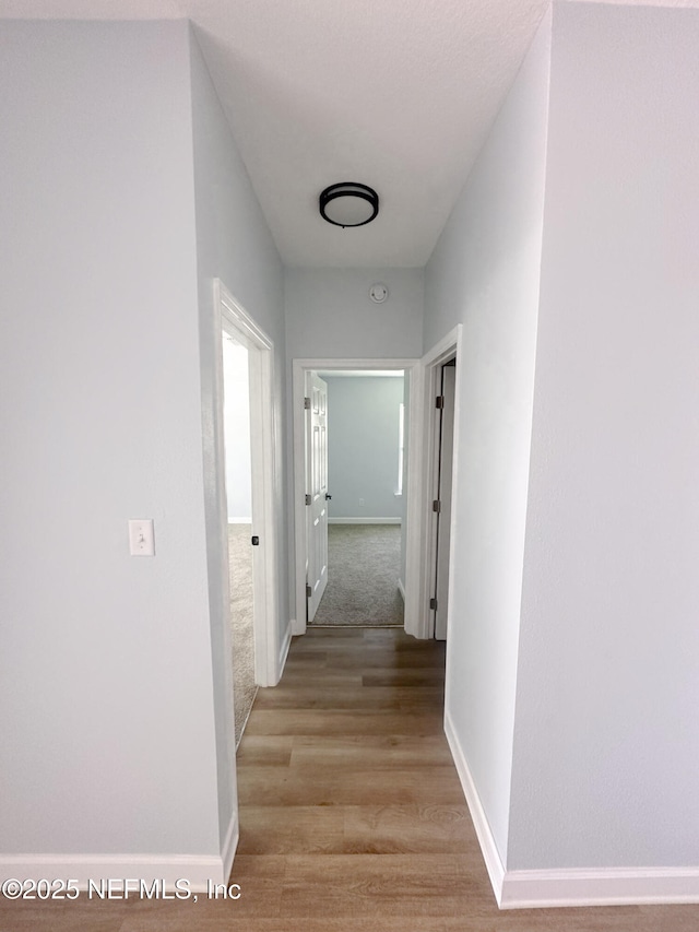 112 Moseley Ave, Palatka, FL 32177 - corridor with baseboards and light wood finished floors