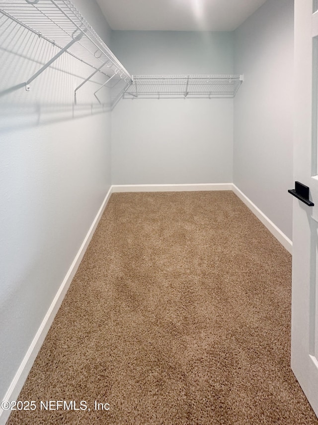 112 Moseley Ave, Palatka, FL 32177 - spacious closet with carpet flooring