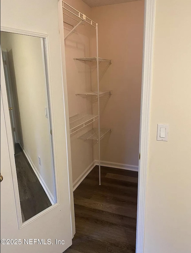 5006 Knightsbridge Cir N, Jacksonville, FL 32244 - walk in closet with wood finished floors