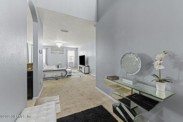 3410 Ridgeview Dr, Green Cove Springs, FL 32043 - hall featuring carpet, a textured wall, a textured ceiling, and baseboards