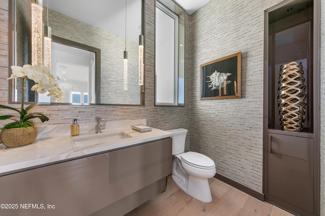bathroom with vanity, toilet, and wood finished floors